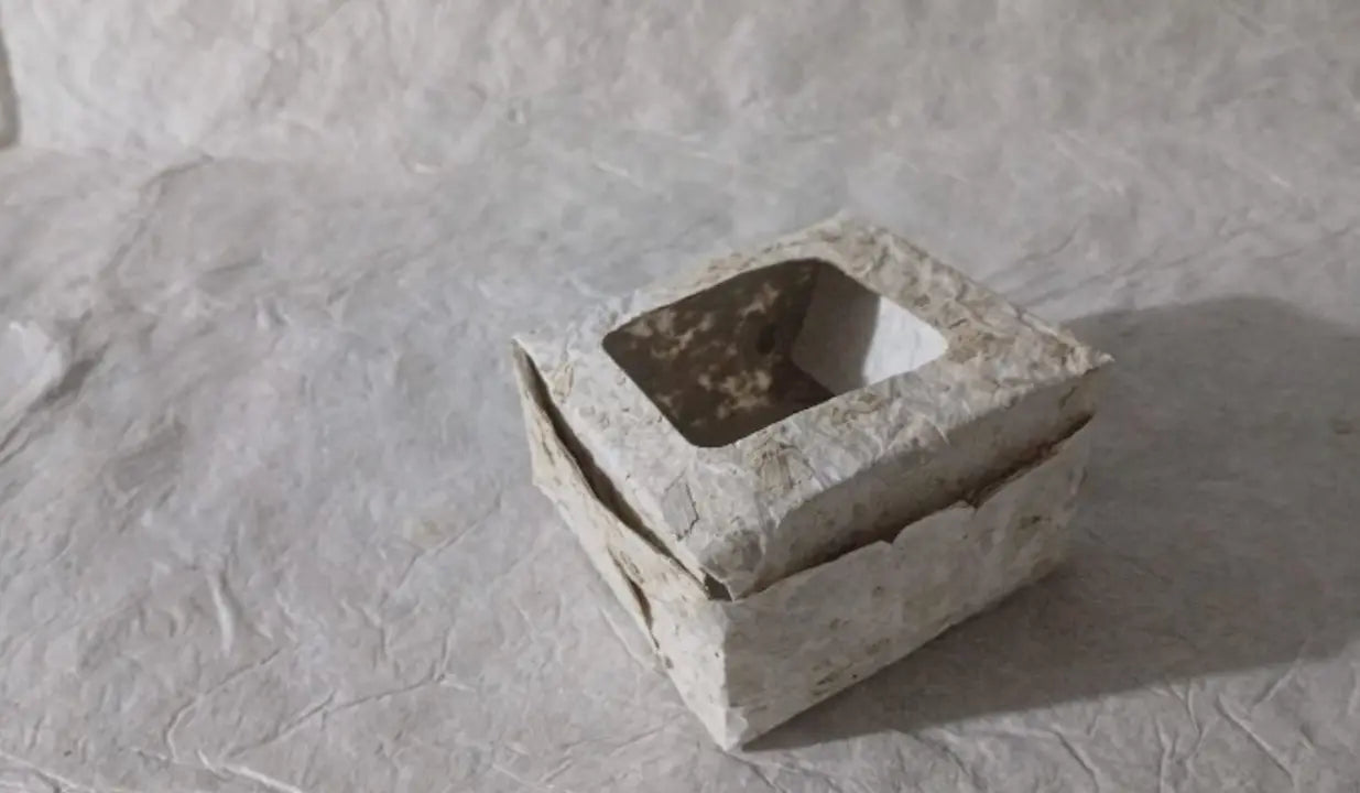 BijaoBox Mini